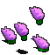 组