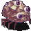 岩虫