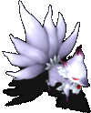 九尾天狐